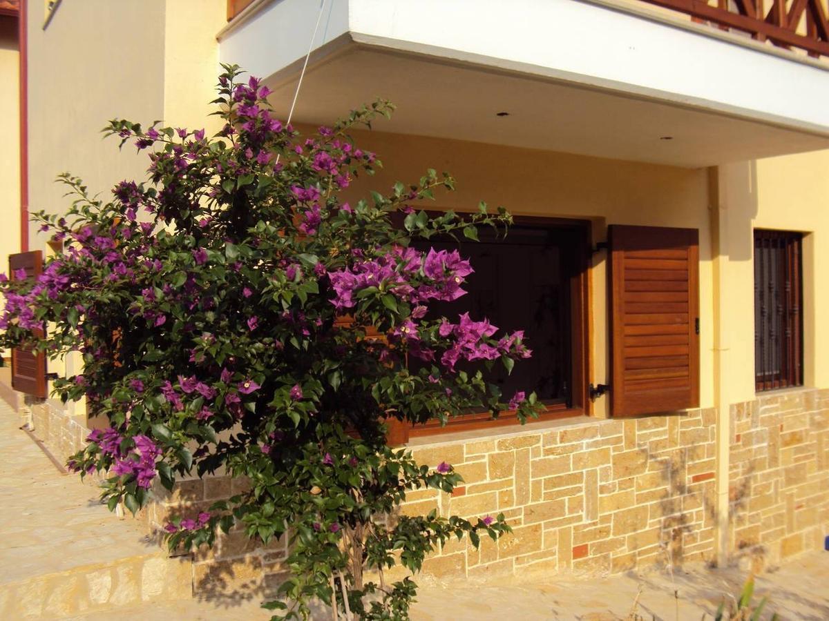 Marvelous Sea View Eco Apt Ammouliani Exterior foto
